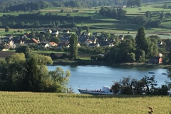 Schiffsverkehr auf dem Rhein