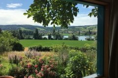 Aussicht Sommer 2020