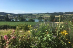 Aussicht zum Garten